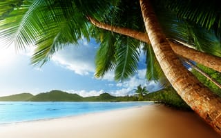 Картинка пальмы, Карибский бассейн, Ocean, природа, море, clouds, beach, palms, пляж, shore, небо, океан, пейзаж, Caribbean, облака, sky, landscape, sea, nature, берег