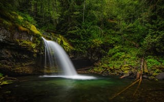 Картинка лес, река, Штат Вашингтон, Iron Creek Falls, водопад, Gifford Pinchot National Forest, Washington State, Река Айрон