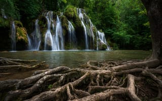 Картинка корни, река, Франция, France, водопад, каскад, Cascade des Tufs, дерево