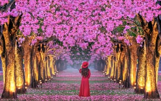 Картинка девушка, деревья, Japan, вишня, парк, Япония, сакура, весна