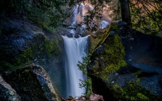 Картинка лес, скалы, Falls Creek Falls, Columbia River Gorge, водопады, Gifford Pinchot National Forest, каскад, Washington State
