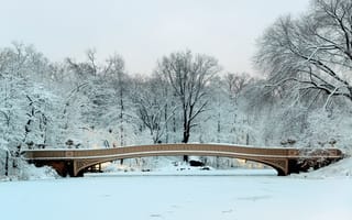 Картинка зима, снег, bridge, New York, landscape, деревья, мост, парк
