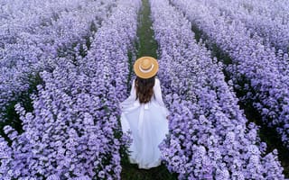 Картинка поле, девушка, beautiful, blossom, field, girl, flowers, весна