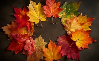 Картинка осень, листья, autumn, colorful, leaves