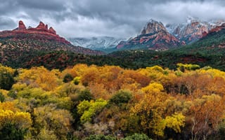 Картинка осень, небо, тучи, Аризона, USA, скалы, деревья, горы