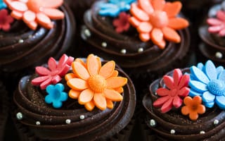 Картинка сладости, пирожное, цветы, кекс, украшение, шоколад, десерт, крем