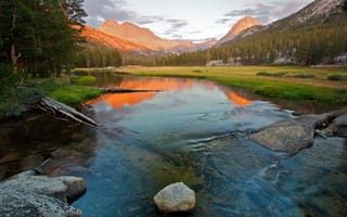 Картинка национальный парк Кингз-Каньон, деревья, берега, Калифорния, Сьерра-Невада, склоны, камни, отражение, США, горы, река