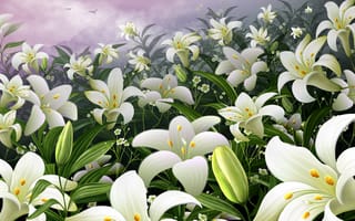 Картинка Сад, цветы, почки, лилии