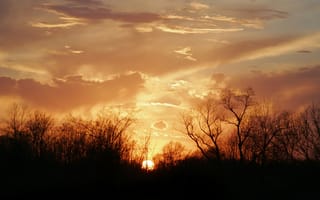 Картинка солнце, деревья, закат, облака