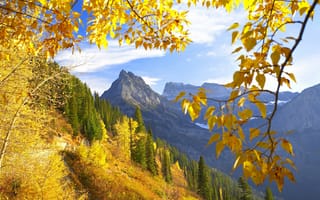 Картинка монтана, осень, горы