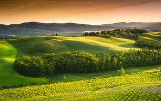 Картинка Тоскана, деревья, сельская местность, trees, Италия, зеленые поля, Italy, nature, небо, природа, пейзаж, green field, sky, countryside, Landscape, Tuscany
