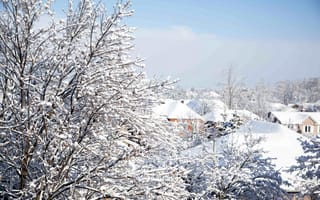 Картинка снег, крыши, здания, зима, деревья, небо, природа, ветки, дома