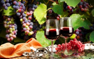 Картинка виноград, поднос, листья, ветки, бокалы, красное, вино