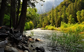 Картинка калифорния, лес, Йосемити, сша, озеро