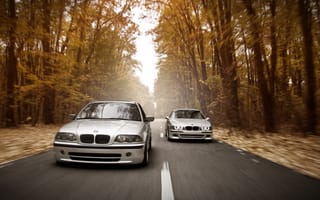Картинка скорость, дорога, E39, BMW, фары, E46, Stance Works, лес, осень