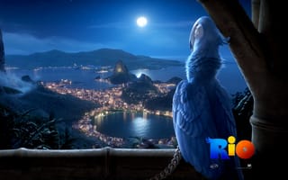 Картинка Мультфильм, птица, Рио, вид на Рио-де-Жанейро
