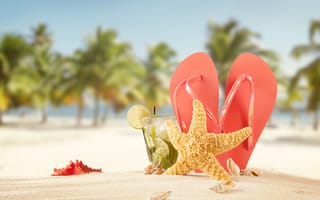 Картинка пальмы, palms, tropical, солнце, пляж, ракушки, summer, коктейль, море, отдых, сланцы, звезды, песок, vacation, beach, лето
