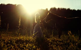 Картинка лето, девушка, солнце, лошадь, поле