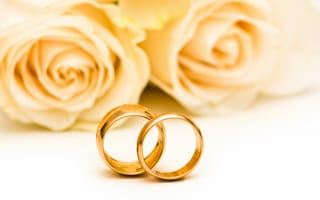 Картинка цветы, wedding rings, обручальные кольца, розы, flowers, roses