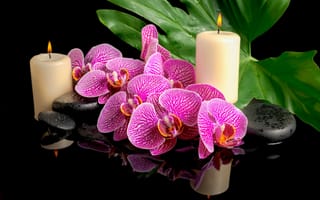 Картинка цветы, спа камни, орхидеи, капли, листок, свечи
