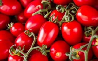 Картинка томаты, помидоры, красные