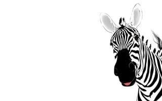 Картинка зебра, абстракция, полоски