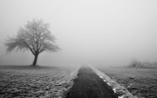 Картинка зима, туман, деревья, дорога, природа, снег