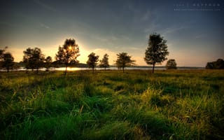 Картинка Река, солнце, закат, трава, дерево