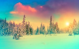 Картинка ель, зима, пейзаж, небо, природа, снег