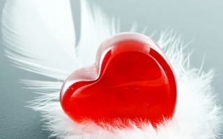 Картинка сердце, праздники, перья, День Святого Валентина