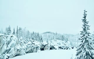 Картинка холод, зима, природа, горы, пейзаж, лес, снег, белый