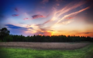 Картинка photographer, луг, алый закат, лес, Aaron Woodall, облака, небо