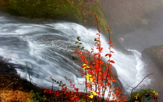 Картинка осень, листья, река, Водопад