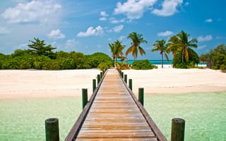 Картинка пальмы, мост, голубое, Beautiful pontoon, остров, пейзажи, небо, экзотика, пляж