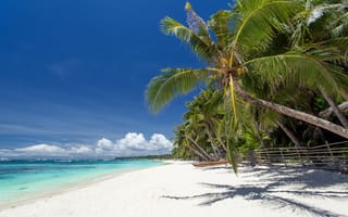 Картинка пальмы, пляж, море, песок, tropical, shore, paradise, summer, берег, sand, sea, palms, beach