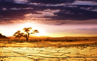Картинка красота, African landscape, Африка, Sunrise, саванна, небо, пейзаж, дерево, песок, облака, горизонт, рассвет