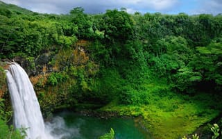 Картинка водопад, лес, растения, природа, деревья