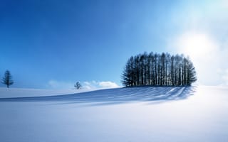 Картинка снег, зима, деревья