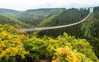 Картинка мост, Geierlay, пропасть, долина, подвесной, осень, канатный, Германия, деревья, лес