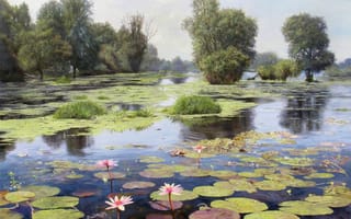 Картинка картина, лотос, озеро, пруд, пейзаж, ряска, деревья, цветы, цветки, отражение, Zbigniew Kopania, вода