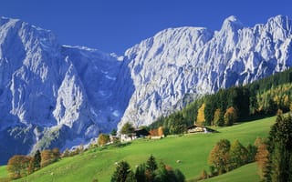 Картинка деревня, горы, лес, дома, природа, луга, Австрия