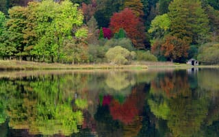 Картинка Великобритания, озеро, деревья, лес, Англия, Grasmere, осень, природа, England, United Kingdom, caeciliametella Photography