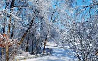 Картинка зима, дорога, forest, снег, Winter, мороз, road, лес