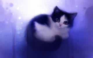Картинка кошка, apofiss, художник, котенок, клубочек, взгляд, рисунок, wish