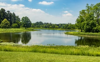 Картинка парк, трава, Morton Arboretum, лето, США, зелень, Northern Illinois, пруд, солнце, деревья