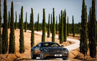 Картинка DB11, кипарис, небо, деревья, дорога, суперкар, авто, красавец, машина, Aston Martin