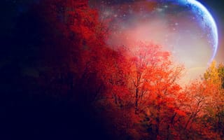 Картинка осень, деревья, звёзды, луна, красные