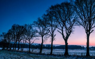 Картинка Норвегия, деревья, рассвет, поляна, утро, иней, поле, заря, зима