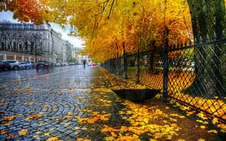Картинка Екатерининский парк, забор, дождь, Санкт Петербург, листья, зонт, осень