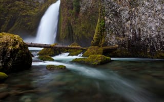 Картинка вода, скалы, водопад, река, ветки, камни, природа